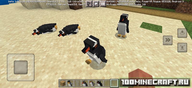 Скачать мод на пингвинов для Майнкрафт ПЕ 1.20, 1.19.83 на телефон
