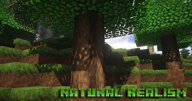 Скачать текстуры Natural Realism для Minecraft 1.12.2